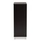 Baxton Studio Ernest Modern and Contemporary Dark Brown Finished Wood 2-Door Shoe Storage Cabinet 178-11027-Zoro - alternate 4